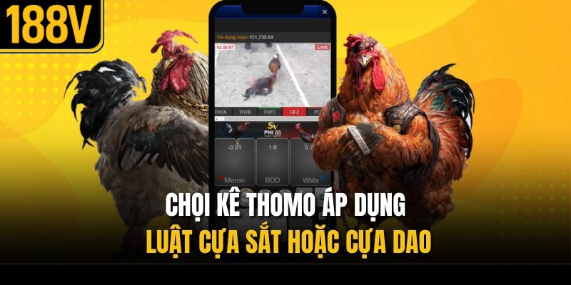Chọi kê Thomo áp dụng luật cựa sắt hoặc cựa dao