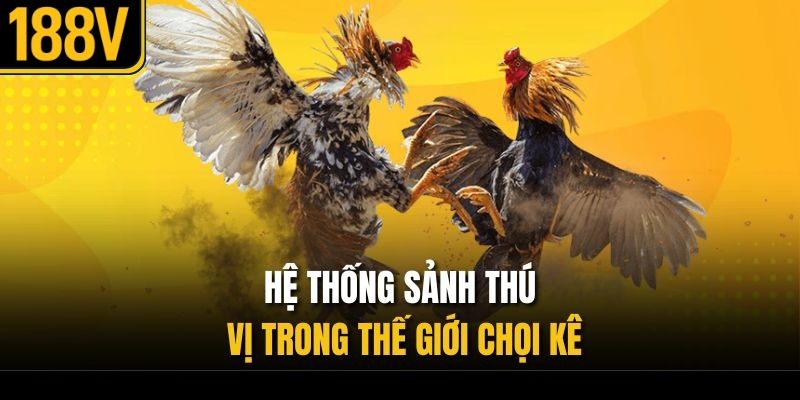 Hệ thống sảnh thú vị trong thế giới chọi kê