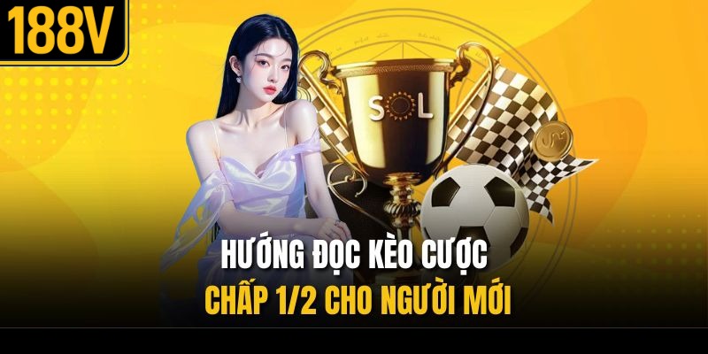 Hướng đọc kèo cược chấp 1/2 cho người mới