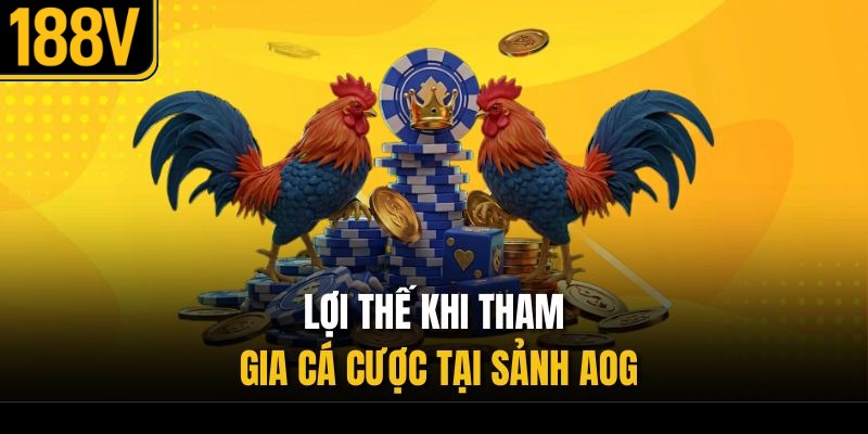 Lợi thế khi tham gia cá cược tại sảnh AOG