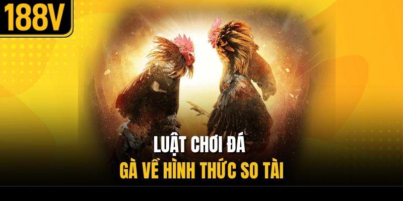 Luật chơi đá gà về hình thức so tài