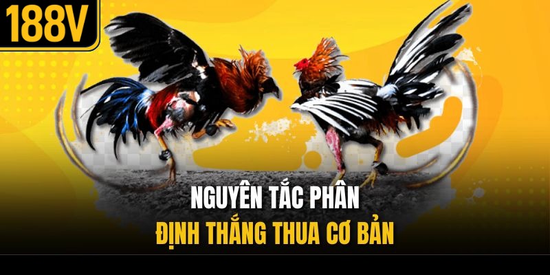Nguyên tắc phân định thắng thua cơ bản