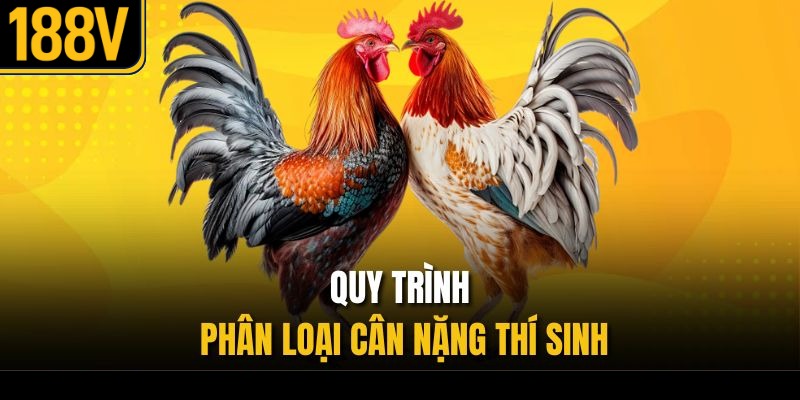 Quy trình phân loại cân nặng thí sinh