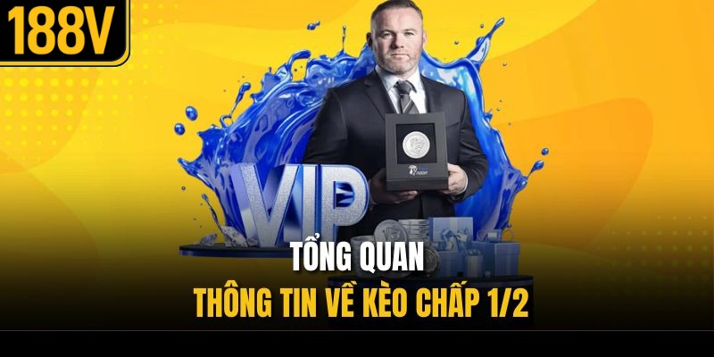 Tổng quan thông tin về kèo chấp 1/2